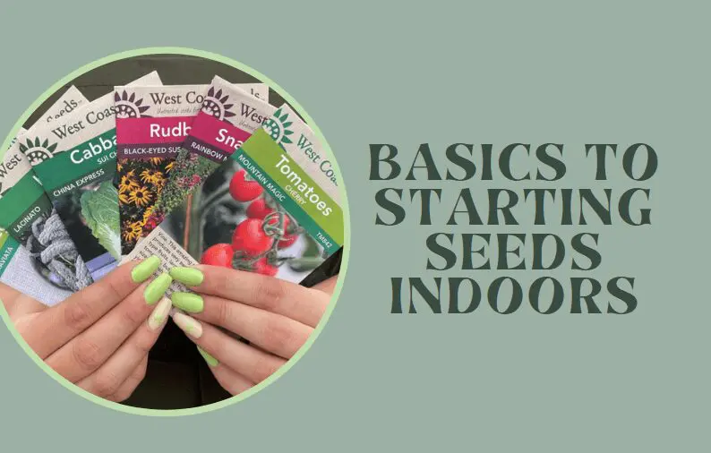Basics to starting seeds indoors