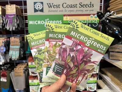 blog picture 400x300.png