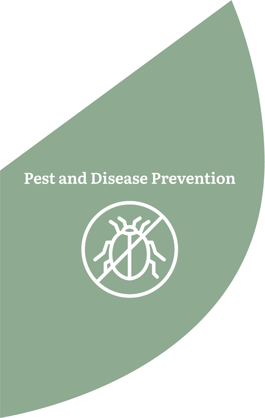 Pest and Disease Prevention