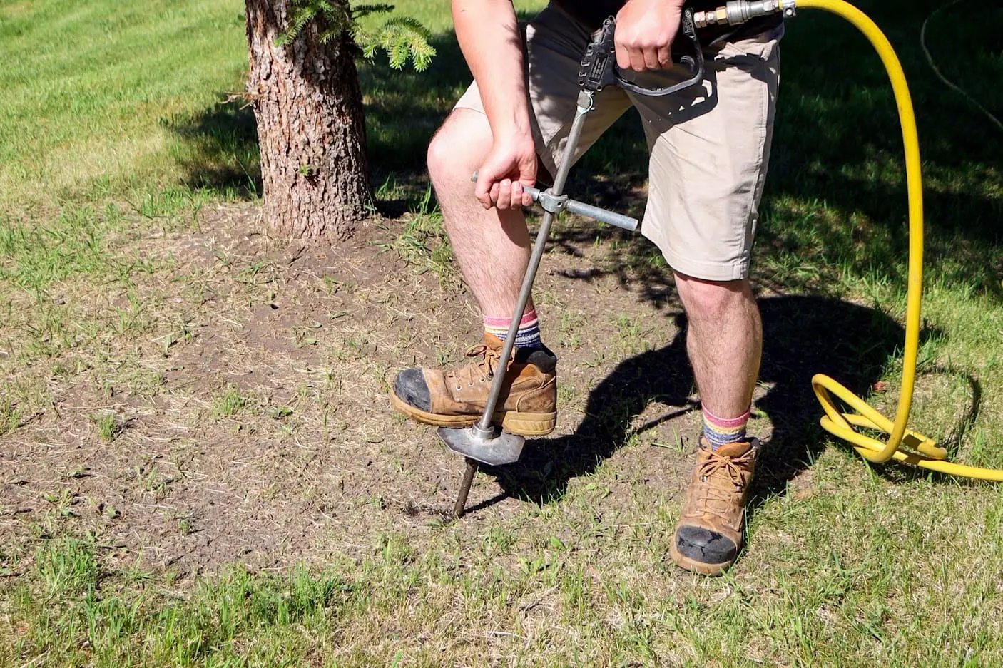 Tree Deep Root Injections