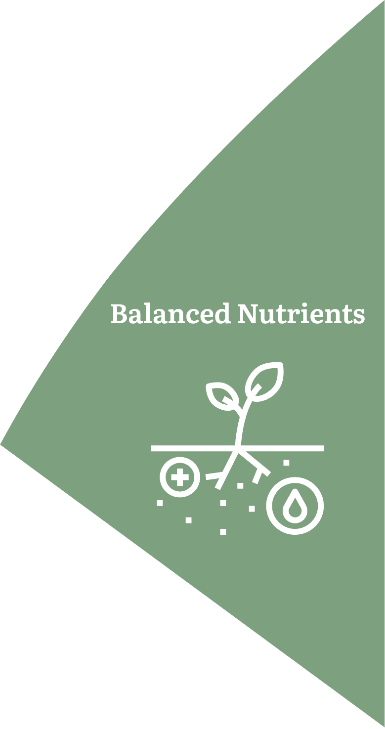 Balanced Nutrients
