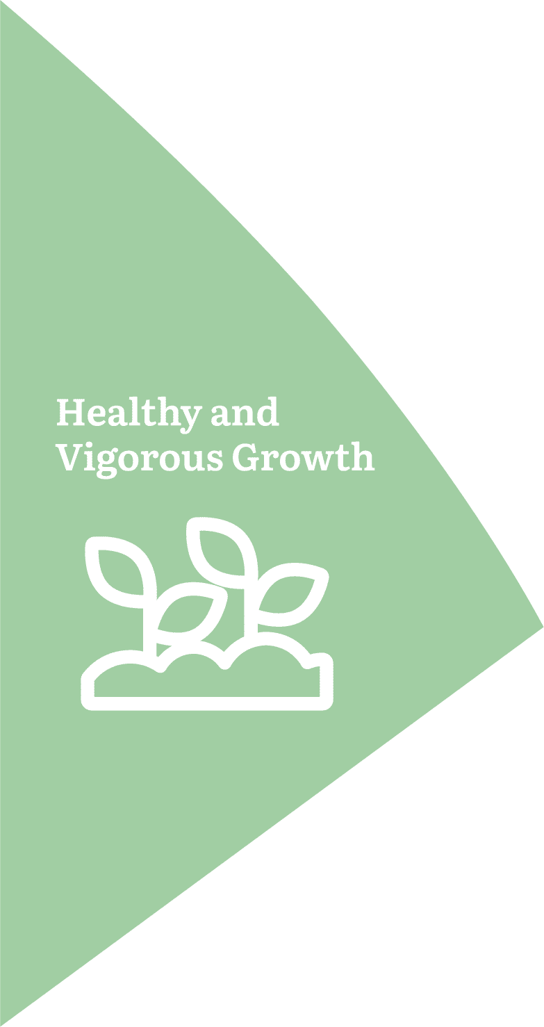 Healthy and Vigorous Growth