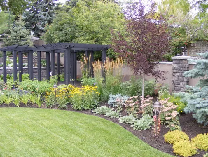 The Ultimate Tree and Lawn Bundle