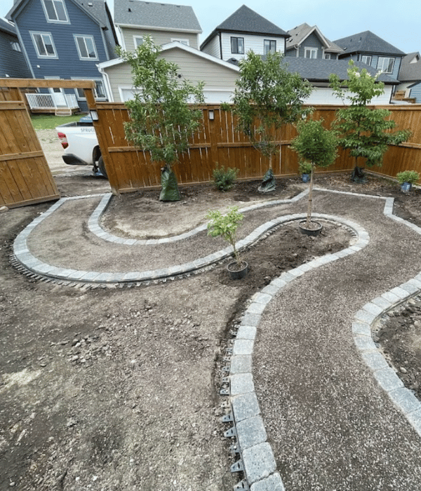2 A landscaped backyard with a winding stone pathway, young trees planted along the border, and houses in the background.