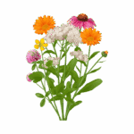 Untitled design (23)