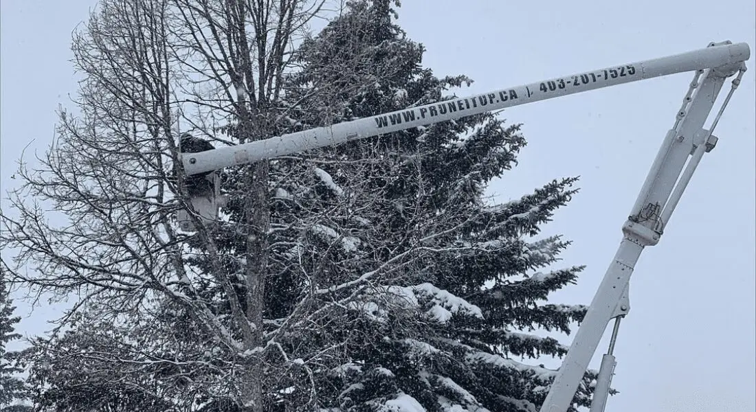 Person using a cherry picker to trim branches from a snow-covered tree in winter. The machinery arm shows the website "PRUNETOP.CA" and a phone number.