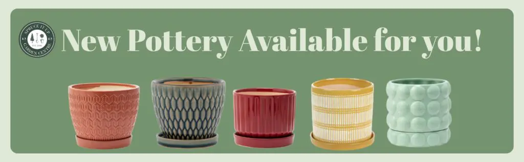 Website Banners - Pottery Five decorative ceramic plant pots in various colors and patterns are displayed on a green background with the text “New Pottery Available for you!”—now at your favorite Garden Centre.