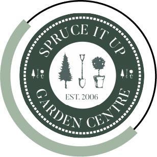 Spruce It Up With Circle