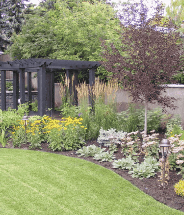 The Ultimate Tree and Lawn Bundle the ultimate tree and lawn bundle, green it up