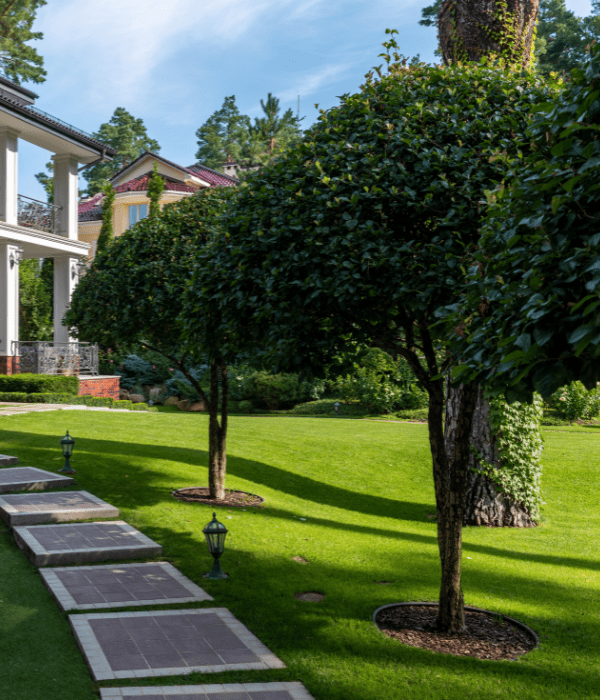 Untitled design (14) A stone pathway with lanterns runs through a well-kept lawn lined with trimmed trees beside a house with a white porch.