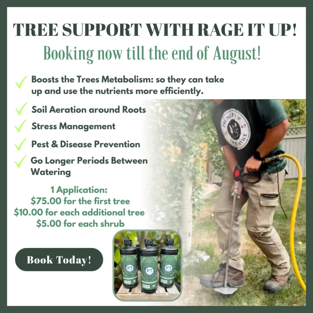 A person uses a soil aerator tool near a tree; text describes tree support services and pricing. Inset shows bottles of plant treatment products.