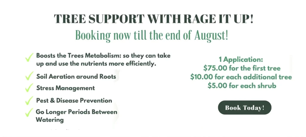 Promotional flyer for 