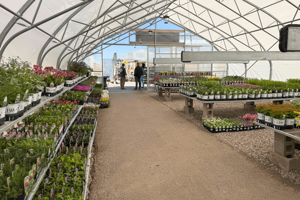 Interior of a greenhouse with rows of potted plants and flowers on shelves, two people standing near the exit in the background.