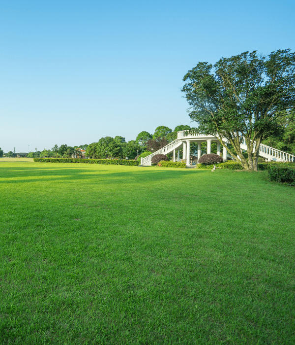 Untitled design (15) A wide, green lawn—enhanced by premium lawn fertilizer in Calgary—leads to a white staircase with railings, surrounded by trees and shrubs under a clear blue sky.