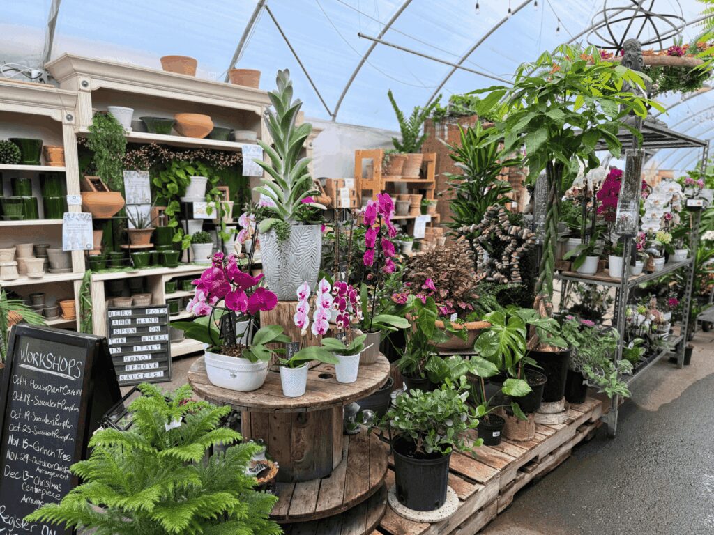 A variety of potted plants and flowers are displayed on wooden pallets and shelves inside a greenhouse-style garden center.