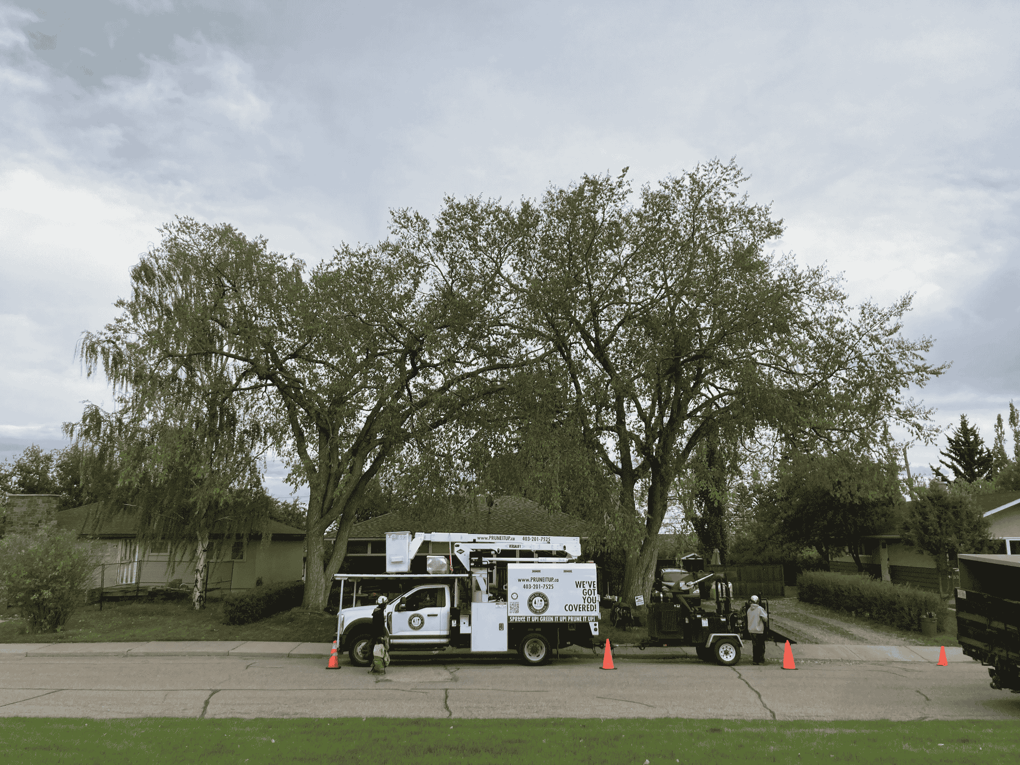 Untitled design (42) Two utility trucks are parked on a residential street near trees, with orange safety cones placed around them.