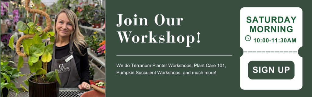 A woman stands in a greenhouse at the Garden Centre, holding a potted plant beside a sign advertising a Saturday morning plant workshop and a sign-up button.