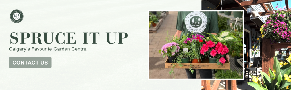 Banner for Spruce It Up, Calgary Garden Centre; features a person holding a box of colorful flowers, along with contact information to reach the business.