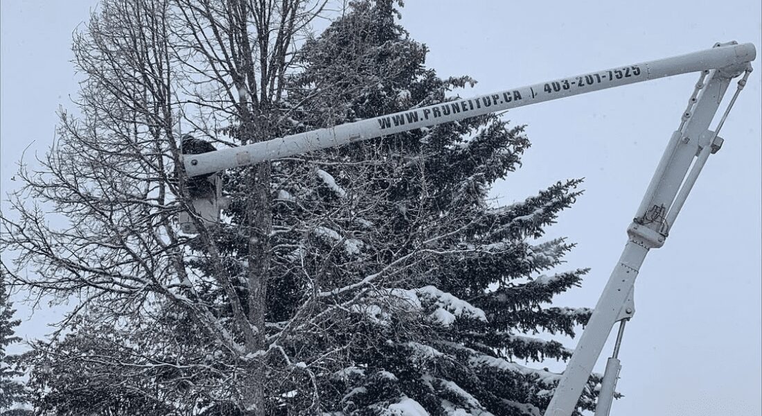 Person using a cherry picker to trim branches from a snow-covered tree in winter. The machinery arm shows the website "PRUNETOP.CA" and a phone number.