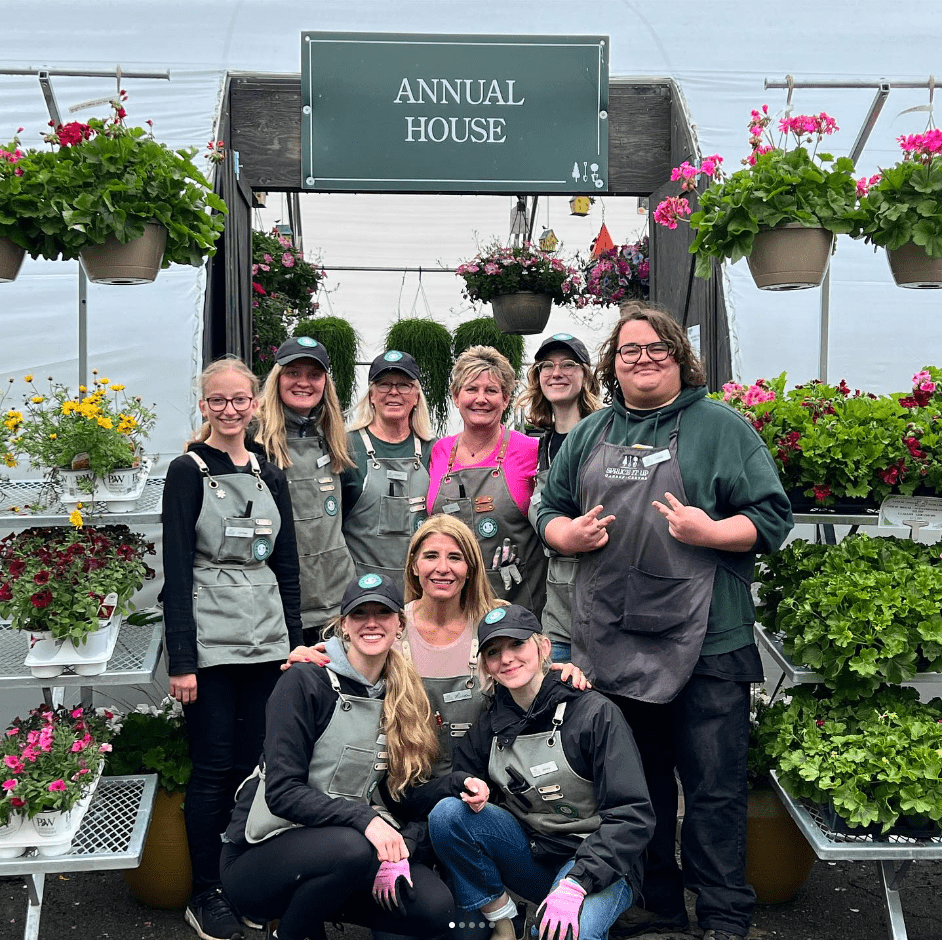 Screenshot 2024-08-20 151247