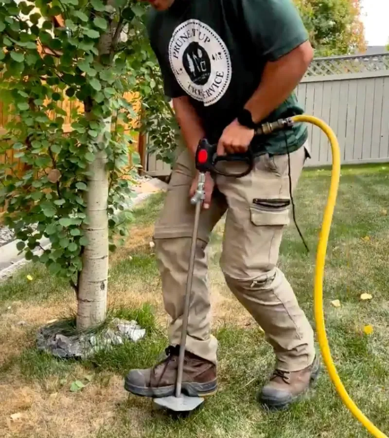 A person uses an air tool with a yellow hose to aerate the soil near a tree in a backyard.