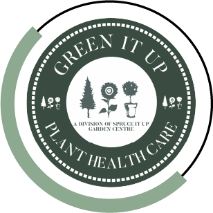 Green It Up With Circle