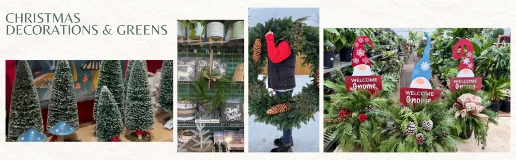 Display of Christmas decorations and greenery in a Garden Centre, featuring tabletop trees, ornaments, wreaths with pinecones, and planters adorned with festive signs.