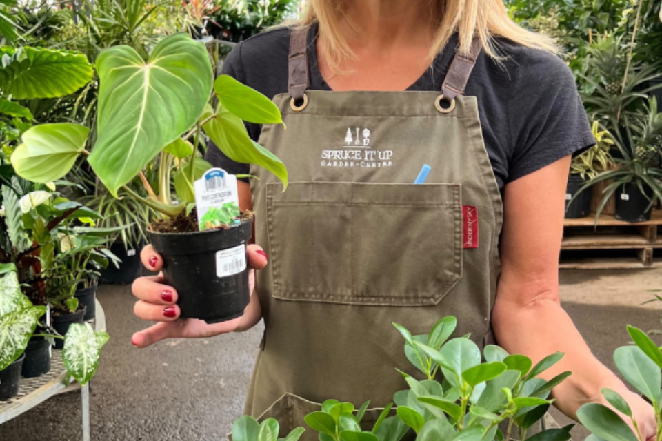 Untitled design (30)