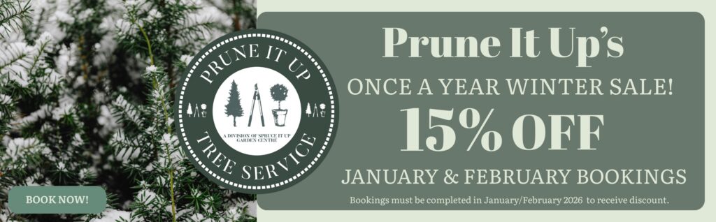 Prune It Up Tree Service winter sale banner: enjoy 15% off January and February bookings! Book through our Garden Centre and complete your service in early 2025 to secure your discount.