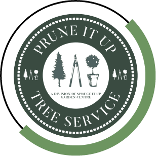 Prune It Up With Circle