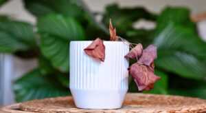 A white cup with brown leaves on it.