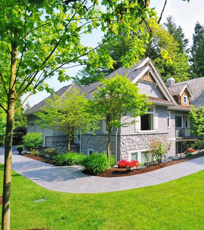 Commercial_Tree_Service