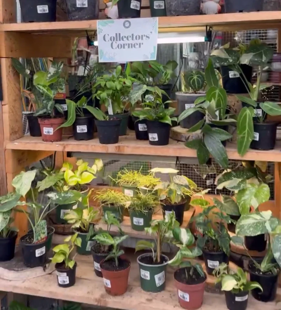 Shelves display various potted plants labeled as 