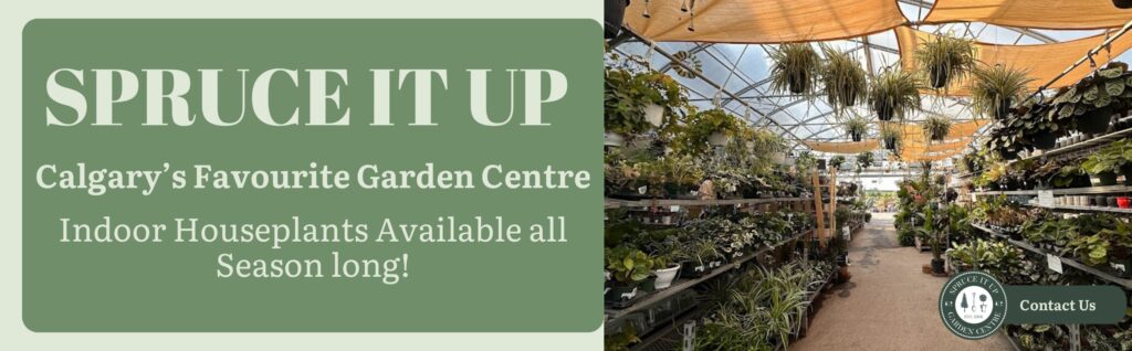 Banner for a Calgary garden centre advertising indoor houseplants, with an image of a greenhouse filled with various potted plants on shelves.