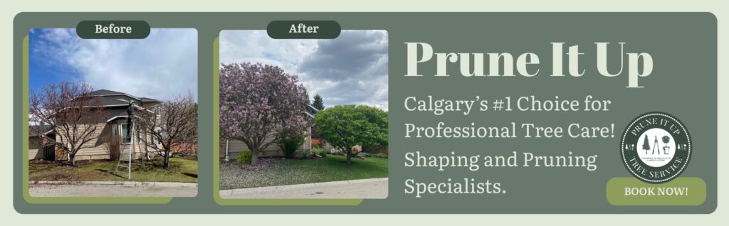 Side-by-side photos of a house before and after tree pruning, with promotional text for 