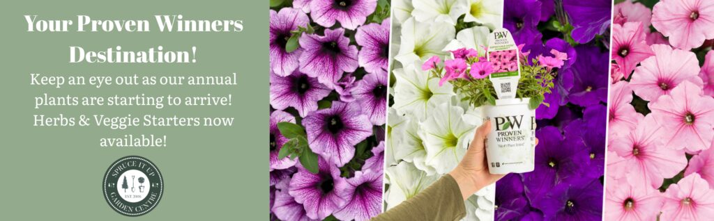 Banner with text promoting annual plants, herbs, and veggie starters, featuring close-up images of colorful petunias and a hand holding a Proven Winners plant in a white pot.