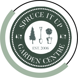 Spruce It Up With Circle